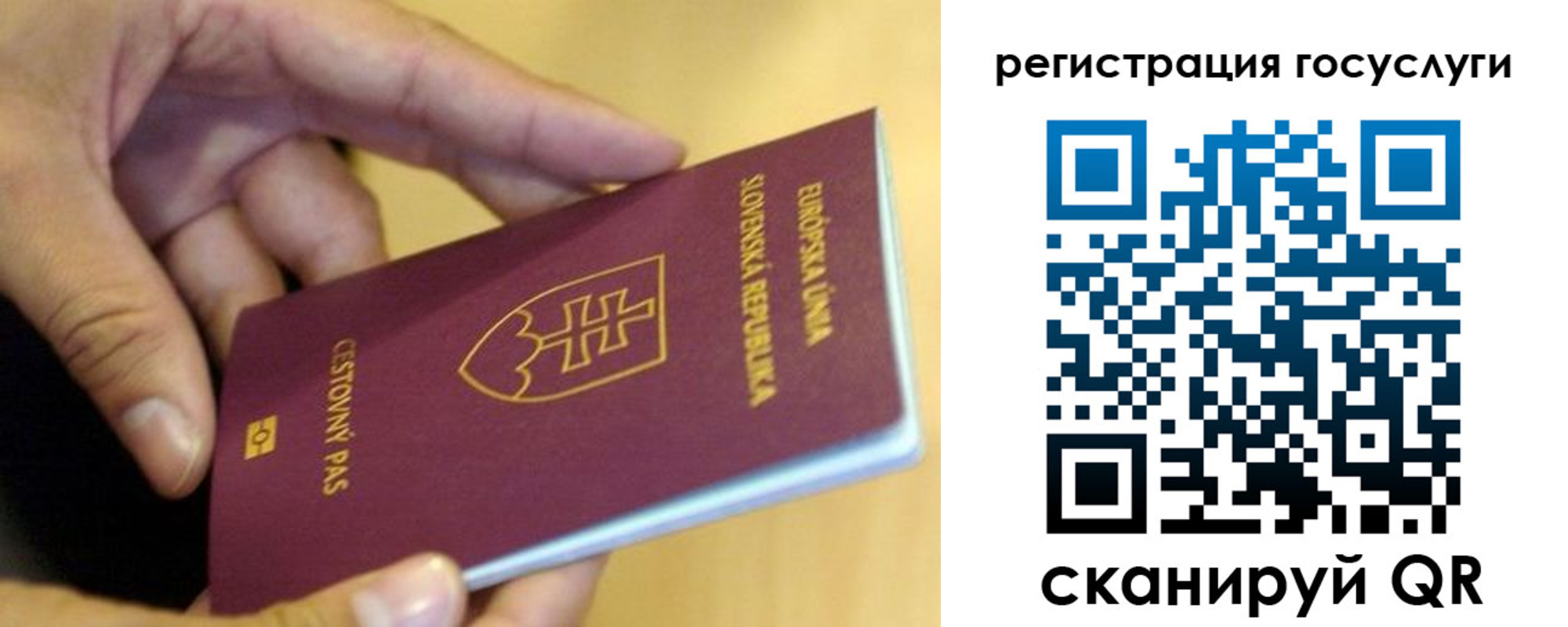 прописка в квартире в Талице